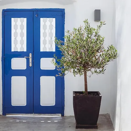 Dionysos By Kefia * Pýrgos