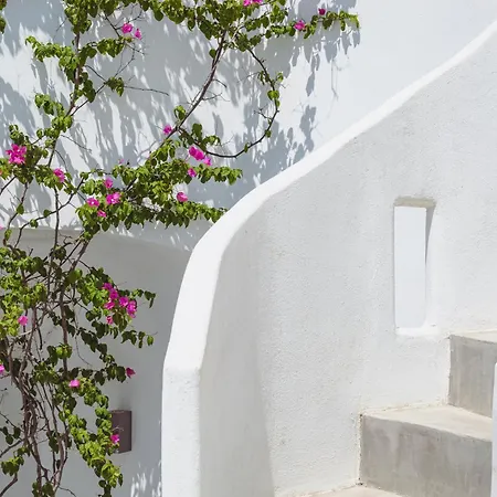 Dionysos By Kefia Willa *